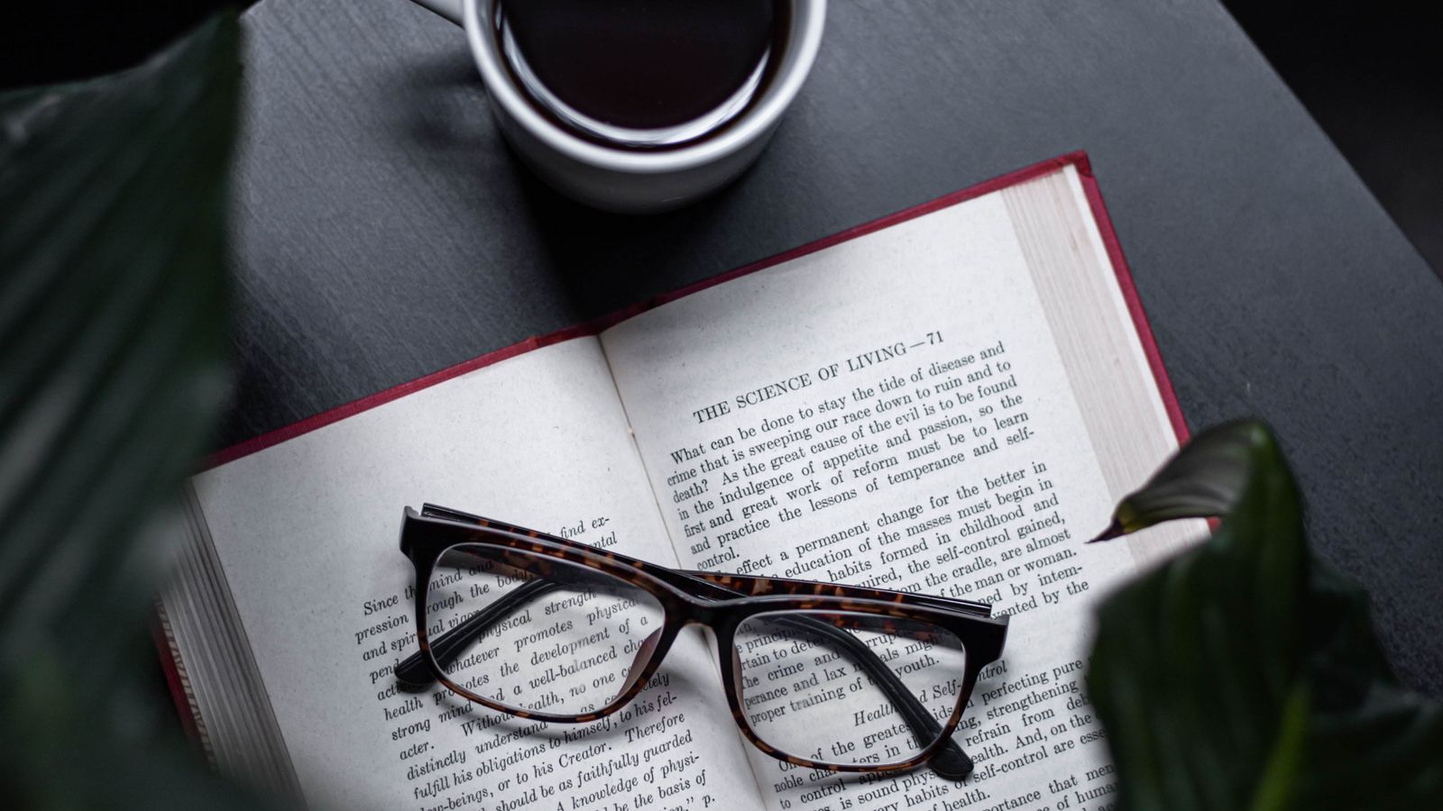 Senior reading a medication label through reading glasses at home