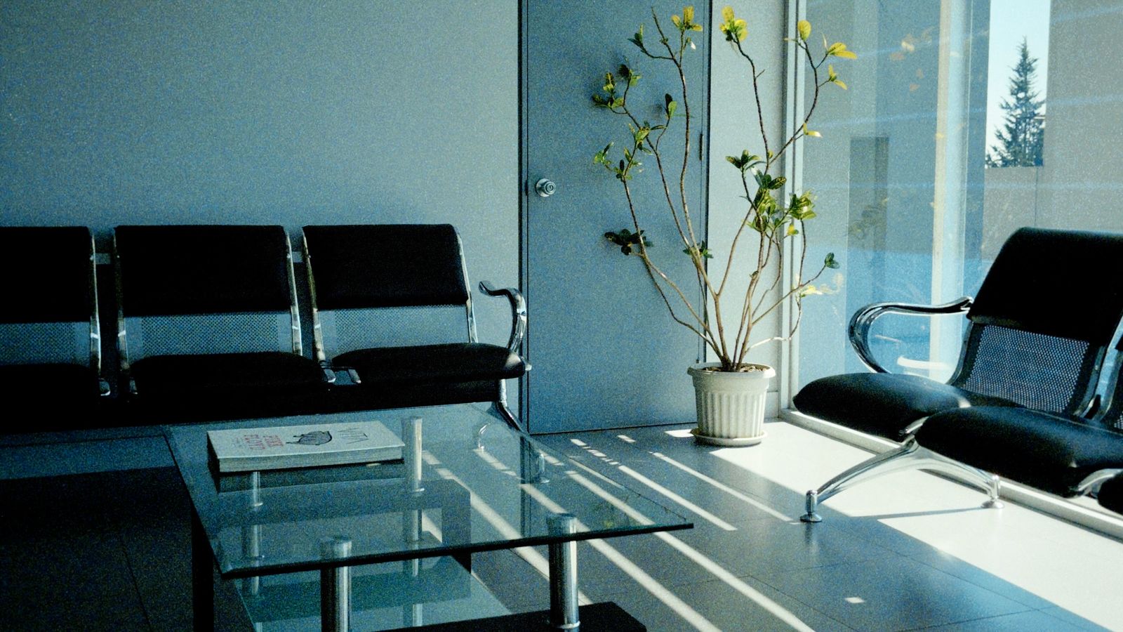 Reception area seating arranged near a bright office lobby entrance